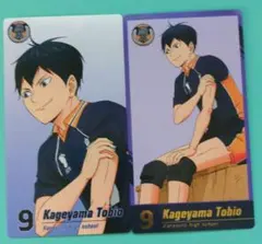 最終価格★ハイキュー ゴミ捨て場の決戦展 チケット風カード