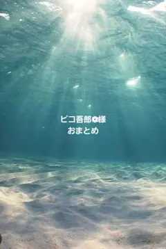 ピコ吾郎❁⃘様おまとめ