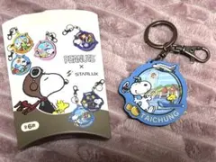 Item thumbnail for item 1f531152-d98b-402f-8161-15daf2ed4952