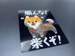 50人クラフト まるたそ 人気投票 シャカシャカ - メルカリ