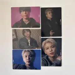 ビーファースト　シュント　トレカセット