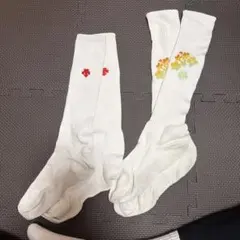 Item thumbnail for item 3714b1c2-ee1d-427a-8b6a-f97158988655