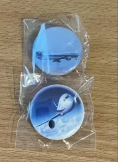 ANA 缶バッジ 2個セット