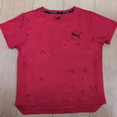 PUMA DRYCELL レッド Tシャツ