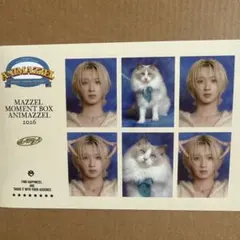 MAZZEL アニマーゼル ナオヤ 3点セット MAZZEL アニマーゼル ANIMAZZEL NAOYA ナオヤ 3点セット - メルカリ