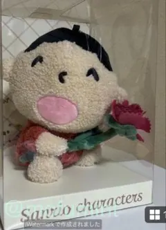 新品 みんなのたあ坊 ぬいぐるみ マスコット カーネーション サンリオのサムネイル