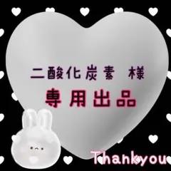 二酸化炭素 様 ♡ 専用ページ