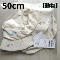 Item thumbnail for item b7b97875-52ce-462f-af68-fe64daf5d83f