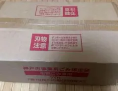 未使用品】ナガノ産業 みかげ石もち臼セット1升用 DVD付き 石臼 杵2本