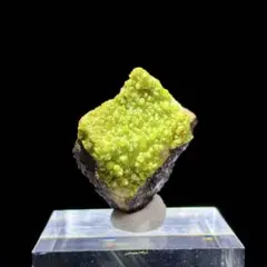 光沢強い緑鉛鉱 パイロモルファイト ダオピン産 母岩付き 鉱物標本