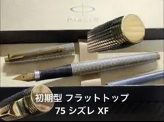 2026年最新】パーカー 万年筆 スターリングシルバー 14Kの人気アイテム