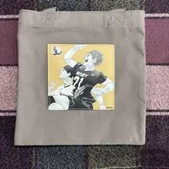 ハイキュー!! ミニトートバッグ 日向翔陽＆影山飛雄