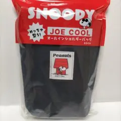 SNOOPY JOE COOL めっちゃ整う！ オールインショルダーバッグ