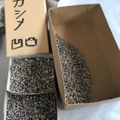 Item thumbnail for item ba9c4bc4-1bbf-47a1-b920-5c97b25b8c0f