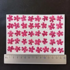 92様 リクエスト 10点 まとめ商品