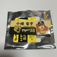 Item thumbnail for item 231eebfe-9a2f-4dc9-8207-045b5f6fd4d8