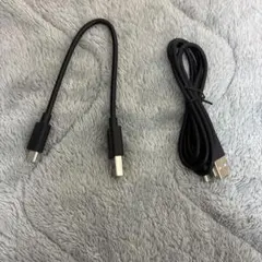 USB-C to USB-Aケーブル 黒 2本セッ