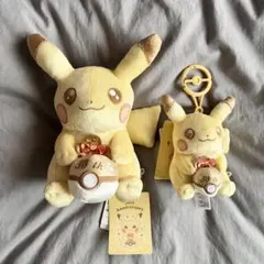 ピカチュウ ぬいぐるみセット モンスターボール付き - メルカリ
