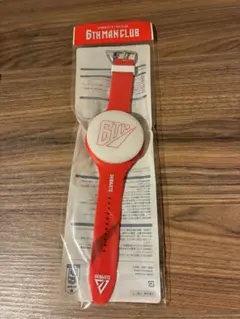 千葉ジェッツ FC特典 PIKABON ピカボンライト