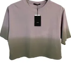 新品タグ付 EMODA グラデーション 半袖Tシャツ フリーサイズ ショート丈のサムネイル
