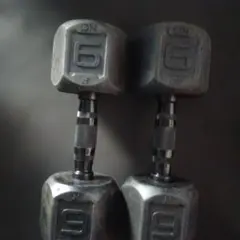 ALEX ダンベル 6kg 2個セット
