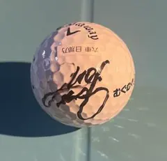 菅楓華プロ 希少 オウンネームボール直筆サイン jlpga - メルカリ