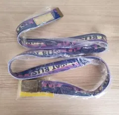 Item thumbnail for item 376a4cb0-23f0-439a-bf3d-0ebe818c64d4