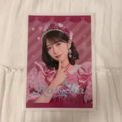 とき宣 坂井仁香（ひとちゃん） 組長くじ 2025 春 クリアファイル