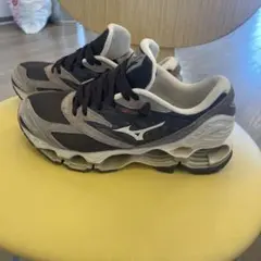 MIZUNO Wave Prophecy プロフェシー 26cmのサムネイル