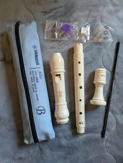 Item thumbnail for item 6a1022fa-9c3e-4522-87d9-707acd4e324c