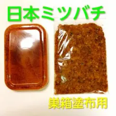 2026年最新】日本蜜蜂巣クズの人気アイテム - メルカリ