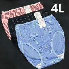 【4Lサイズ】レディースショーツ 3枚セット 10