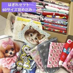 コヤンイサムチョン&プードル&スヌーピー付き⭐︎ ハギレセット　60サイズ詰め込み