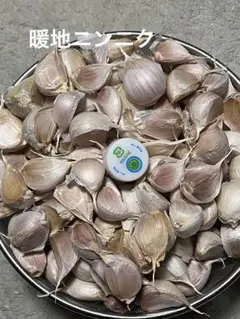 2025年最新】平戸にんにくの人気アイテム - メルカリ