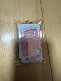 Sanrio closet collectionパッケージミニチュアコレクション