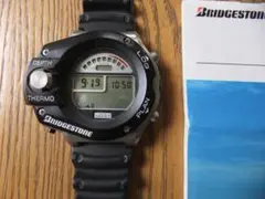 Item thumbnail for item 420228fb-6645-41b4-b3cb-e451dc1bb822