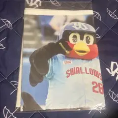 ヤクルトスワローズ つば九郎 サンスポ ぱのらましんぶん