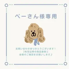 ぺーさん様 リクエスト 3点 まとめ商品