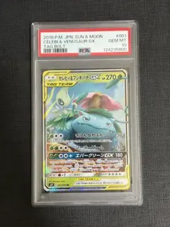 2025年最新】セレビィ&フシギバナgx psa10の人気アイテム - メルカリ