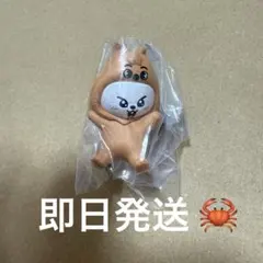 SKZOO つまんでつなげてますこっと vol.2 リービット リノ