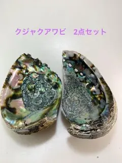 NO.58-13 クジャクアワビ(貝殻) パーツ　2ケセット