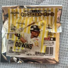 シークレットキューブパズルチェーンダウンズ選手