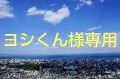ヨシくん様 リクエスト 2点 まとめ商品