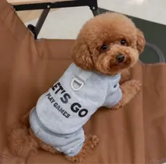 わんちゃんオシャレ英文字ロンパース