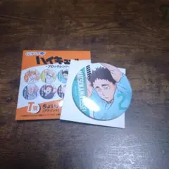 ハイキュー!! 缶バッジ 松川一静