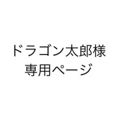 ドラゴン太郎様専用ページ