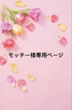 95.様 リクエスト 2点 まとめ商品