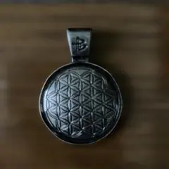 Item thumbnail for item 616beb92-0029-4cb8-a0b6-09e194772c13