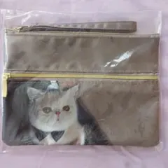 Item thumbnail for item 0795ef79-d2fb-4d5a-836d-78ad08a6250e