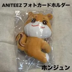 ANITEEZ チュンラミ ぬいぐるみ ペンライトカバーまとめ売り ATEEZ ANITEEZ ホンジュン チュンラミ ぬい ペンラカバー 公式
